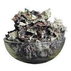 Dagad phool (black stone flower)